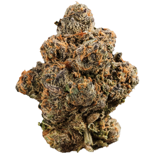 Bild Cannabisblüte 420 Compound 33/1 GAP Gastro Pop