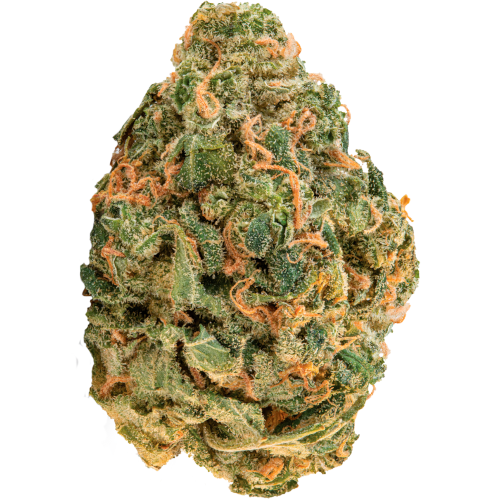 Bild Cannabisblüte ZOIKS 31/1 LK OG Lime Kush