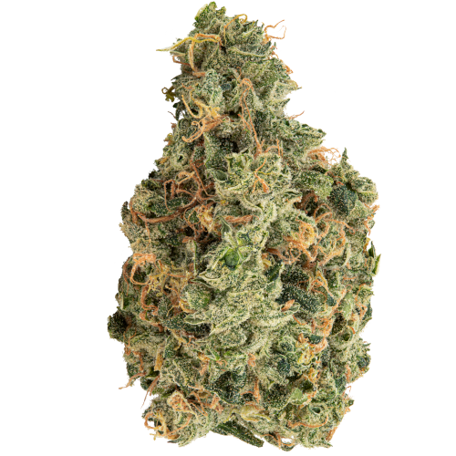 Bild Cannabisblüte avaay 35/1 SCG Super Citra G