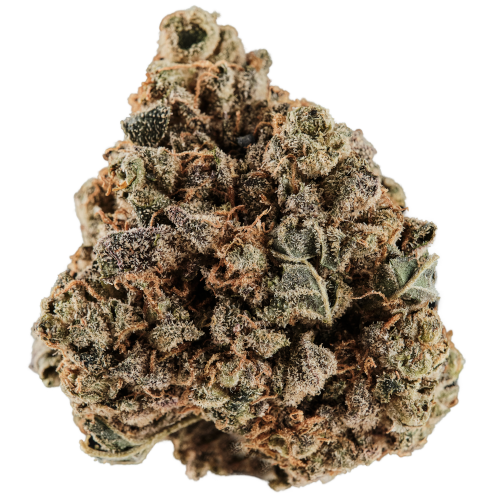 Bild Cannabisblüte Huala 25/1 CA GRF Grape Face