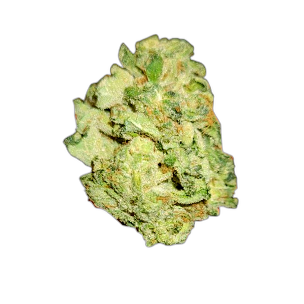 Bild Cannabisblüte Tilray THC 25 Spotlight Porto Galaxy Walker OG