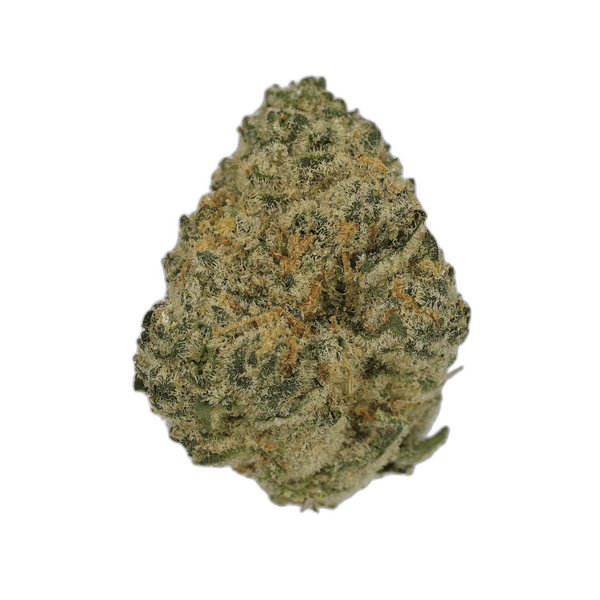 Bild Cannabisblüte Cannamedical Sativa Ultra NM Polar Cookies