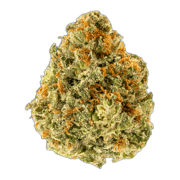 Bild Cannabisblüte enua 25/1 CRO CA Crescendo Cookies