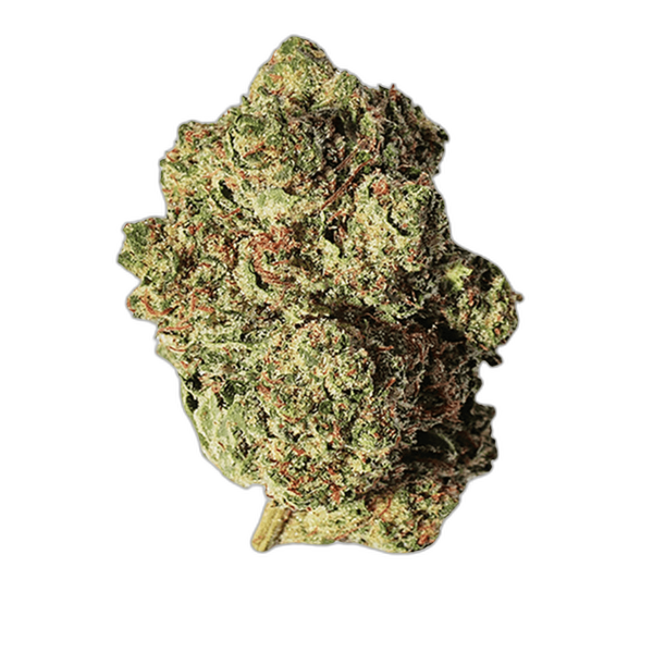 Bild Cannabisblüte Beacon T24 Pink Kush