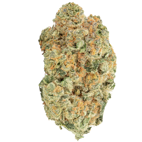 Bild Cannabisblüte avaay 30/1 MIM Midnight Mimosa