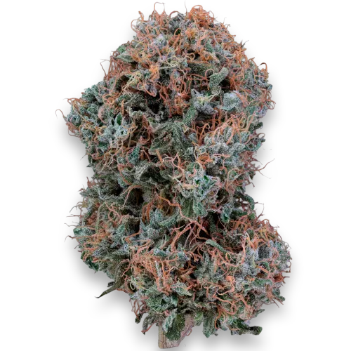 Bild Cannabisblüte 20/1 IUVO OC Afghani Bullrider
