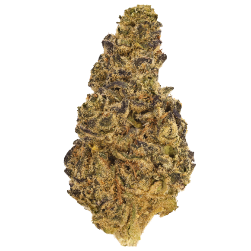Bild Cannabisblüte Pretty Smalls MR 21/1 Midnight Runtz