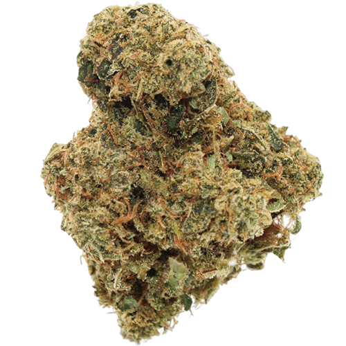 Bild Cannabisblüte Ostara DT Dirty Taxi