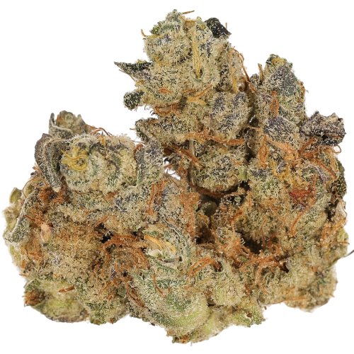 Bild Cannabisblüte Cannamedical CM 31/1 SPC Space Cake