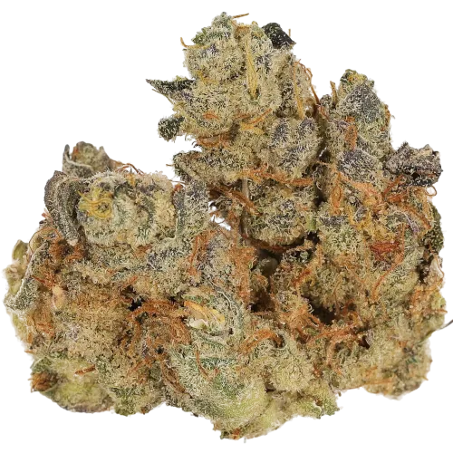 Bild Cannabisblüte Cannamedical CM 31/1 SPC Space Cake