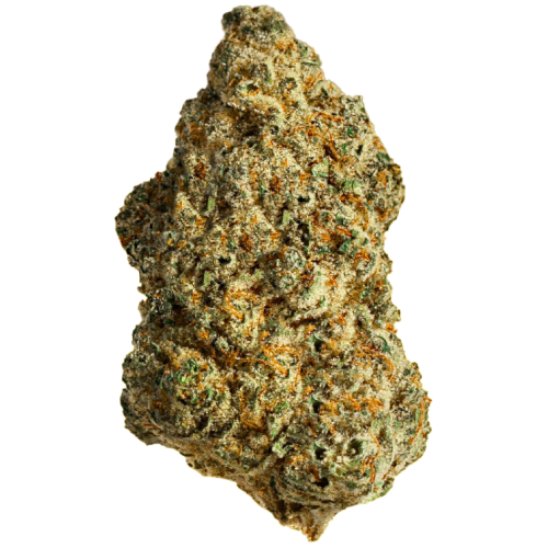 Bild Cannabisblüte Tannenbusch 31/1 TF Tubitti Frubitti