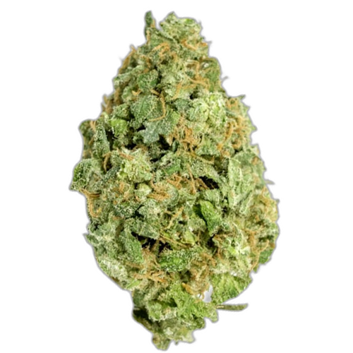 Bild Cannabisblüte Cannabis 1A 16/1 White Widow