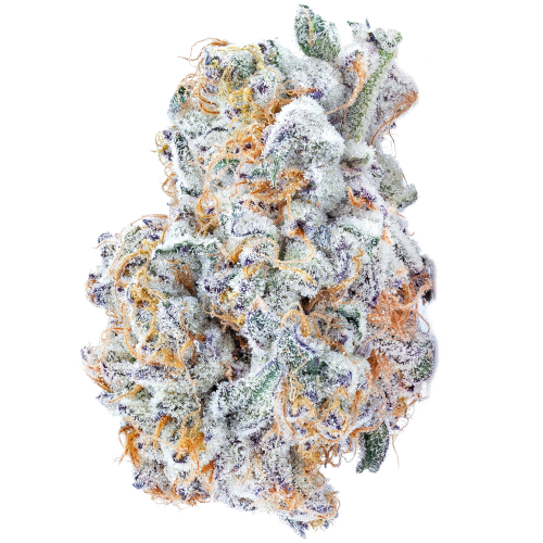 Bild Cannabisblüte avaay Signature 23/1 BYY Blueberry Yum Yum