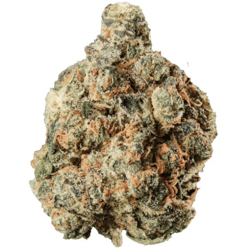 Bild Cannabisblüte Huala 25/1 CA SCO Scoops