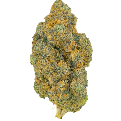 Bild Cannabisblüte Pedanios 25/1 FLH-CA Frozen Lemon Haze