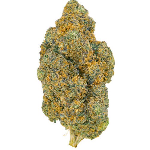 Bild Cannabisblüte Pedanios 25/1 FLH-CA Frozen Lemon Haze