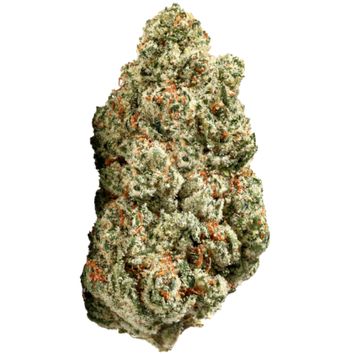 Bild Cannabisblüte ZOIKS 26/1 SR Space Rider