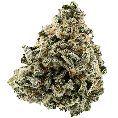 Bild Cannabisblüte Demecan Core Moonbow 23/1 Moonbow 112 IX