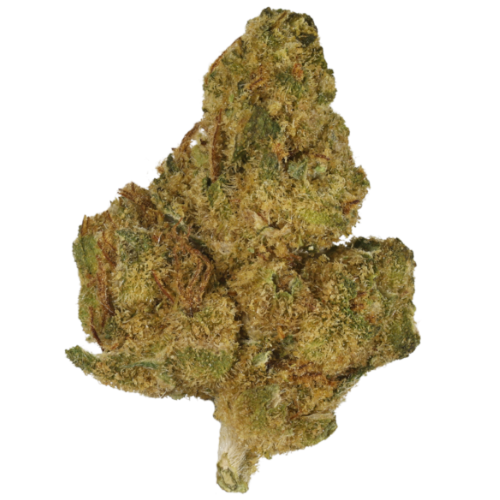 Bild Cannabisblüte Together Pharma KHH 18/1 Kosher Haze