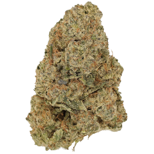 Bild Cannabisblüte Luana 28/1 Pine Solpina Magic