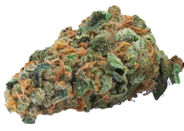 Bild Cannabisblüte Peace Naturals 33/1 GC GMO Cookies