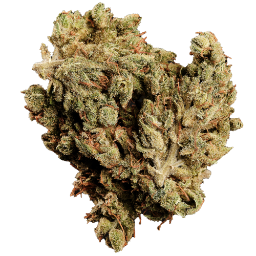 Bild Cannabisblüte 420 Balanced Basic PT SLG Super Lemon G