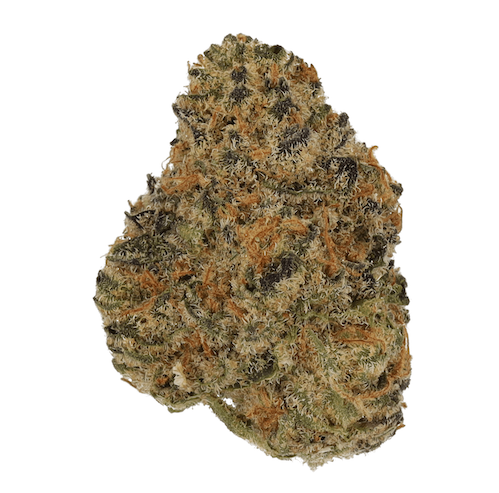 Bild Cannabisblüte Cannamedical Indica ultra AU El Jefe