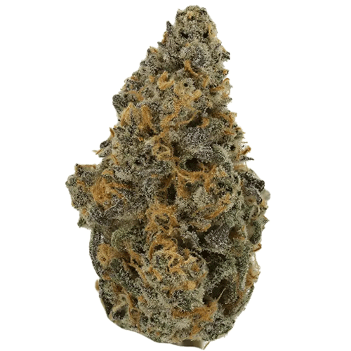 Bild Cannabisblüte Demecan Core JM7 28/1 Jelly Mints