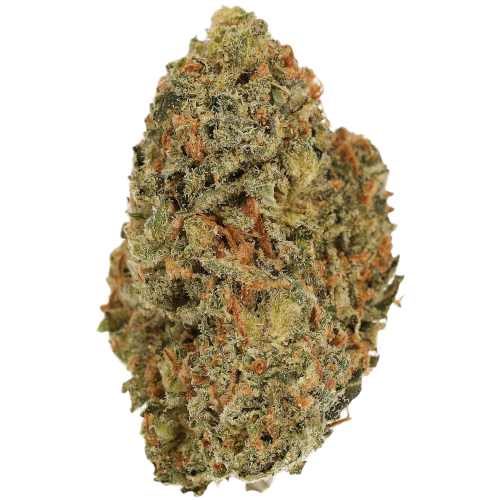 Bild Cannabisblüte Luana 24/1 Delight Carnez Citric