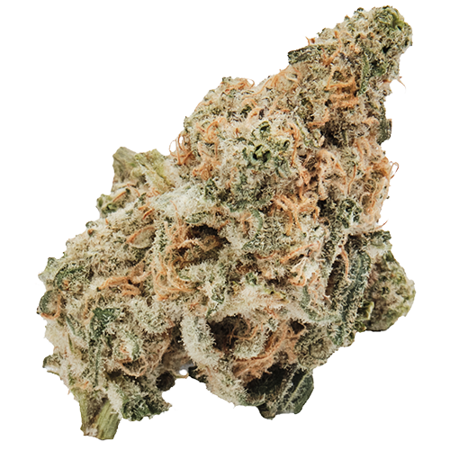 Bild Cannabisblüte 420 Evolution 22/1 CA MAC