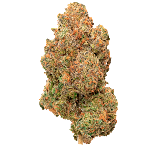 Bild Cannabisblüte avaay 22/1 PNK Pineapple Nuken