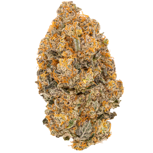 Bild Cannabisblüte avaay Signature 28/1 HYP Hyperion
