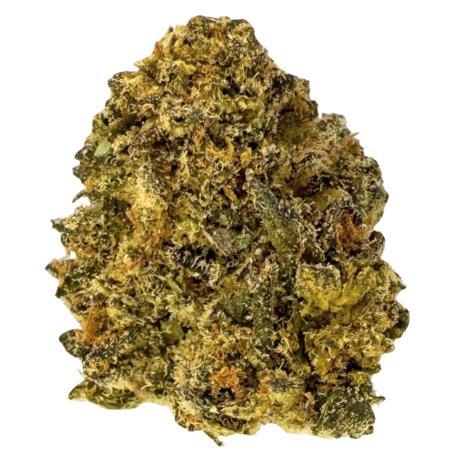 Bild Cannabisblüte Be Humble DD 25/1 Facade