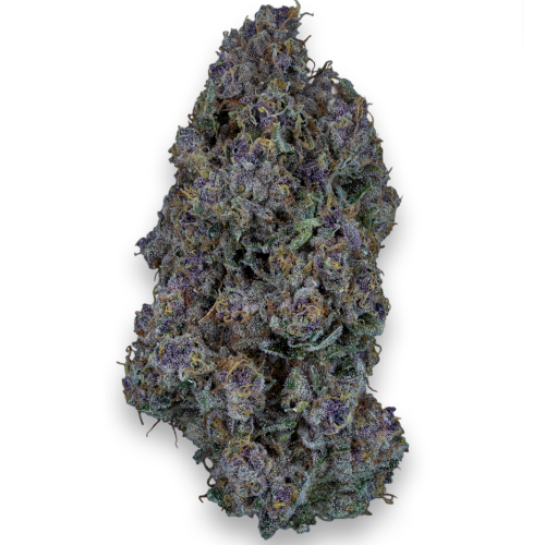 Bild Cannabisblüte 24/1 IUVO OC Triangle Queen