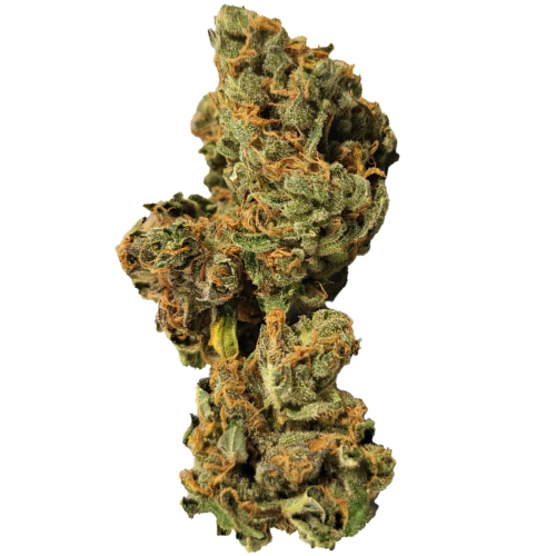 Bild Cannabisblüte Aurora Typ 1 Island Sweet Skunk