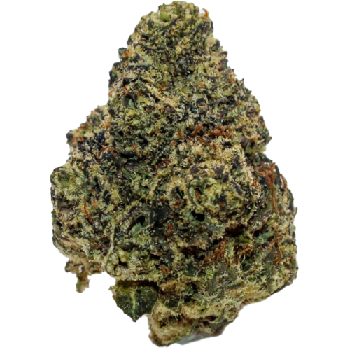 Bild Cannabisblüte Vasco PR Pave Runtz