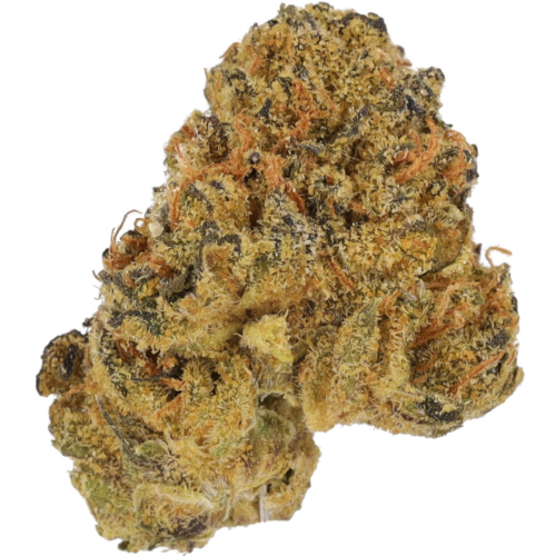 Bild Cannabisblüte Cannamedical Indica Light URY Dawg Bud Fusion