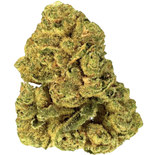 Bild Cannabisblüte Remexian 25/1 BPD Big Purple Dragon