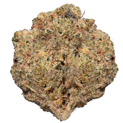 Bild Cannabisblüte enua 27/1 DSH CA Dark Shadow Haze