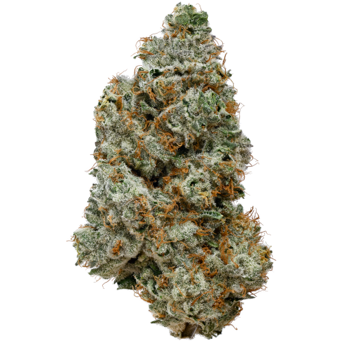 Bild Cannabisblüte 28/1 IUVO OC Orange Z