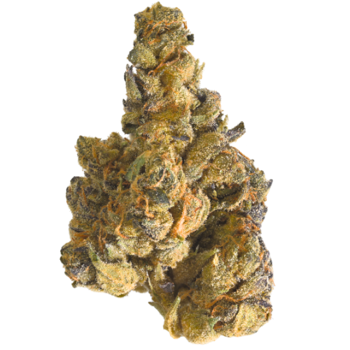 Bild Cannabisblüte LOT 420 AB 25/1 Apples & Bananas