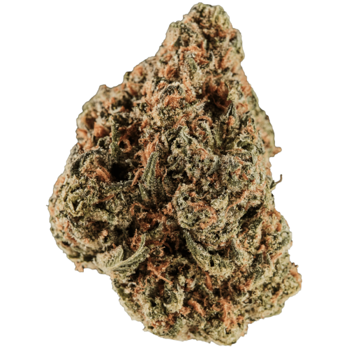 Bild Cannabisblüte Huala 25/1 UK CIN Cinderella Kush