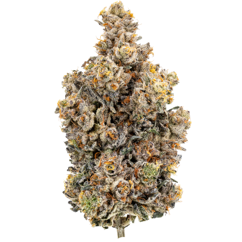 Bild Cannabisblüte 28/1 IUVO OC Rainbow Chip