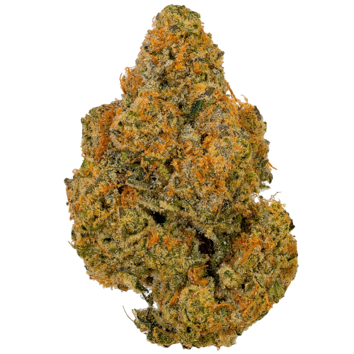 Bild Cannabisblüte Bathera 24/1 ZS Z-Splitter