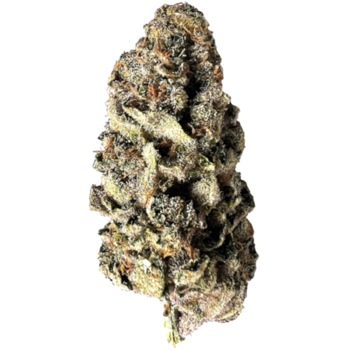 Bild Cannabisblüte aleph rose 16/1 Tropicana Cookies