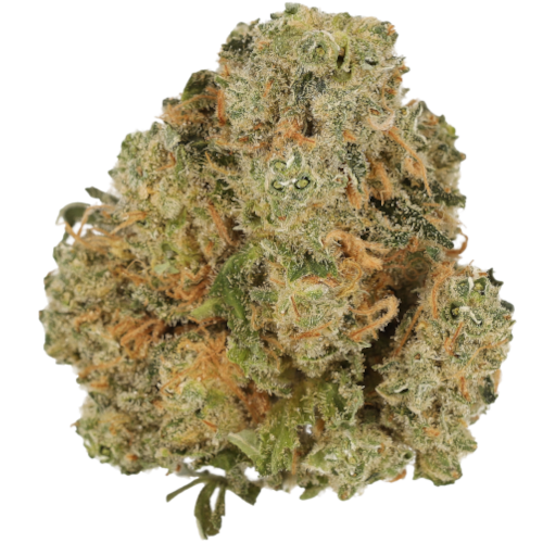 Bild Cannabisblüte Cannamedical Indica Forte DK Sky Berry Kush