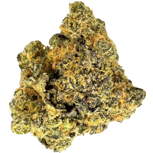 Bild Cannabisblüte Organic Sweetgrass MCC 21/1 Mint Chocolate Chips