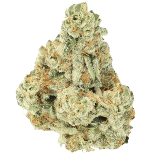 Bild Cannabisblüte Cannamedical Sativa forte Tangie Chem