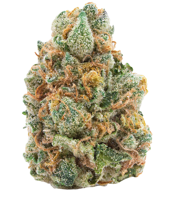 Bild Cannabisblüte 27/1 Amici AS Atomic Sour Grapefruit