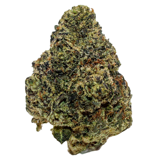 Bild Cannabisblüte Vasco PR PT Pave Runtz